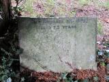image of grave number 907995